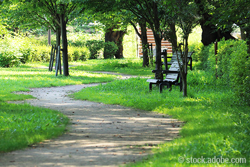 Foto von der Einrichtung